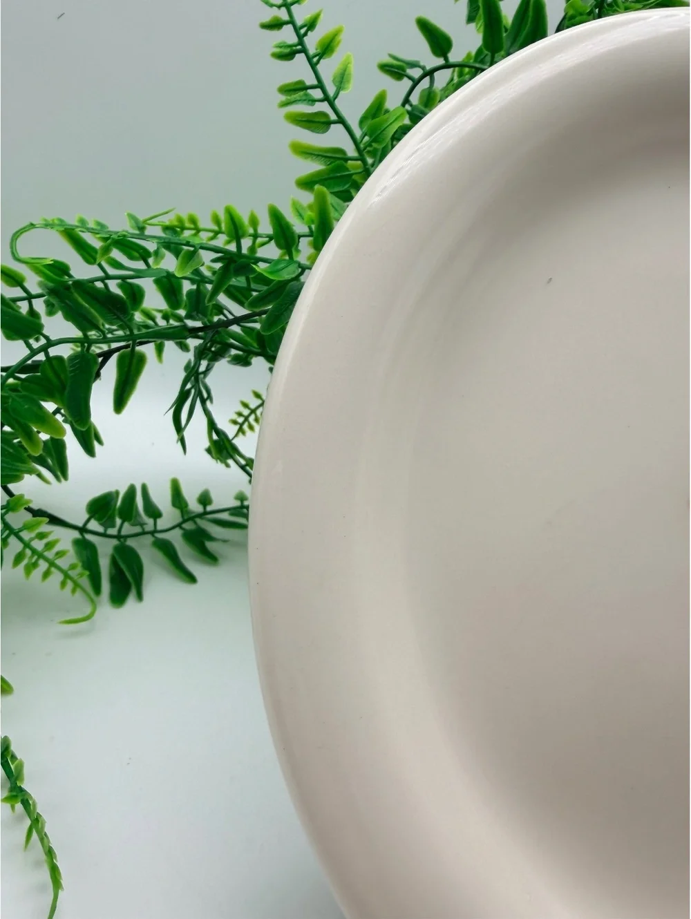 Williams Sonoma breakfast plate. No damage.